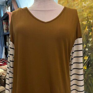 Mustard & Stripes V-Neck Top